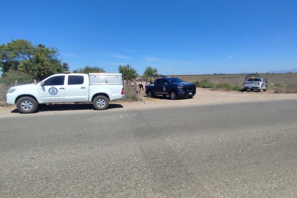 Hallan ejecutado y torturado a un hombre en el ejido Plan de San Luis en Ahome