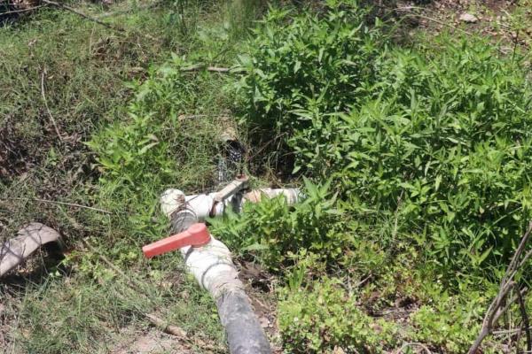 JUMAPAM detecta robo de agua potable para regar cultivos en Mazatlán | VIDEO