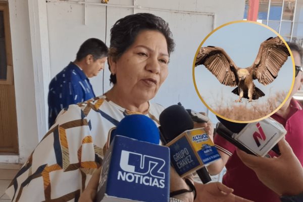 CEDH propone implementar zopilotes entrenados para buscar desaparecidos; Mirna Medina lo rechaza y califica como retroceso