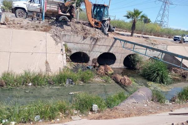 Inicia programa de limpieza de canales y drenes en Los Mochis