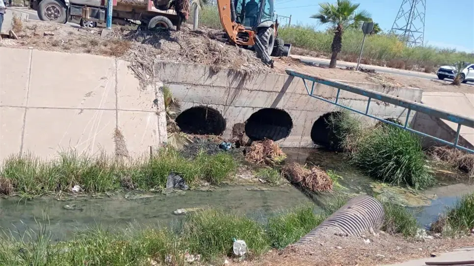 FOTO: Esthela García.