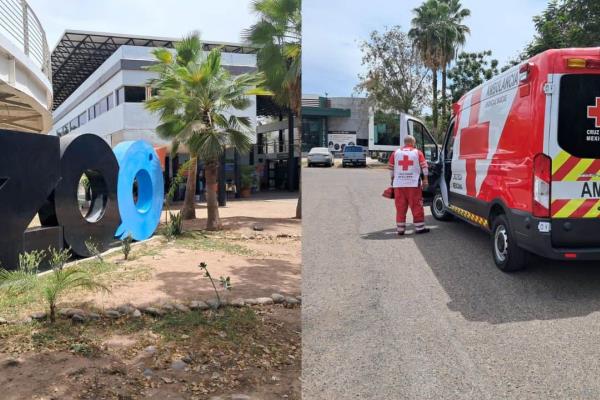 Levantan a hombre en el estacionamiento del Zoológico de Culiacán
