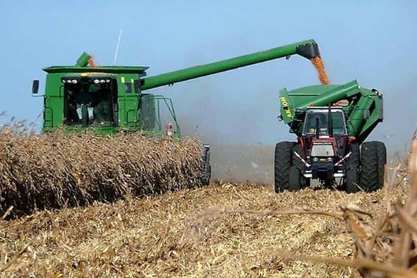 Persisten retrasos en pagos a agricultores tras un año de cosechas