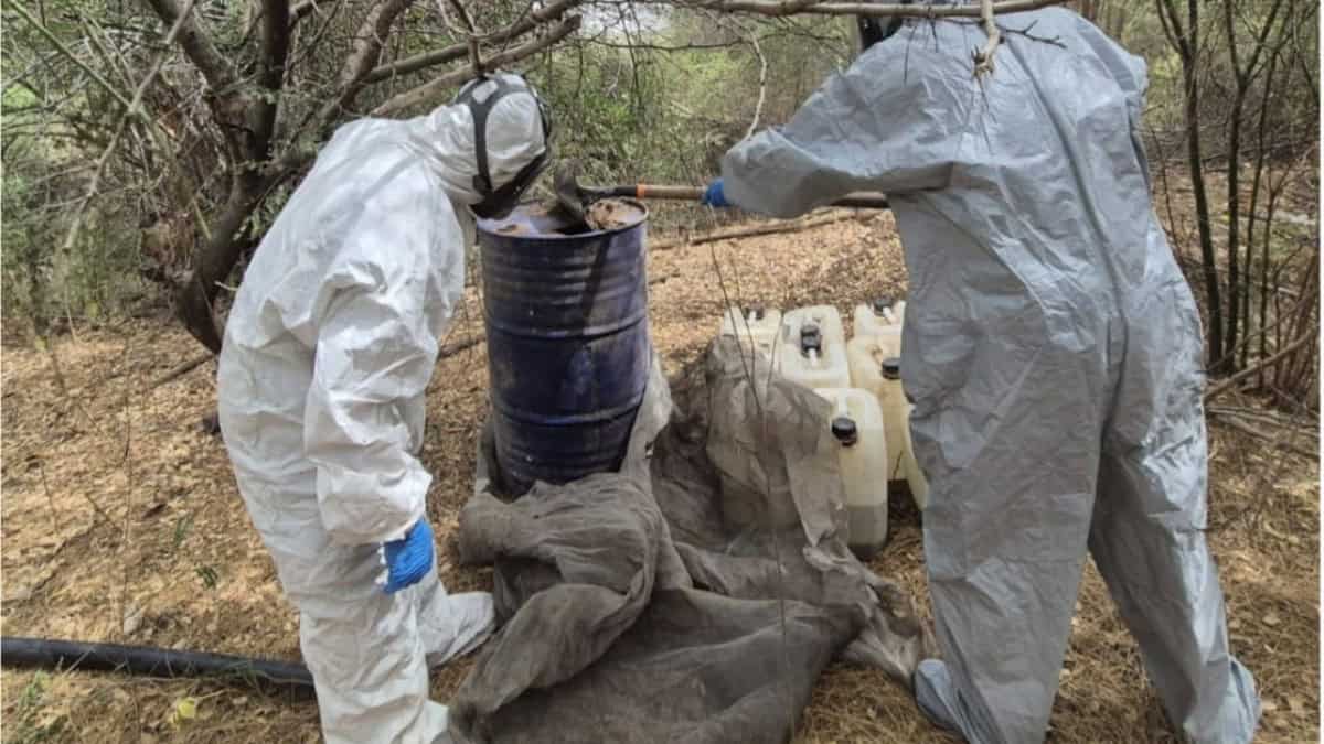 Autoridades aseguran los químicos. (FOTO: Cortesía).