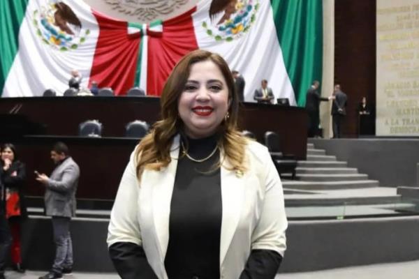 Suplente de Merary Villegas la acusa de irresponsable al dejar la dirigencia de Morena