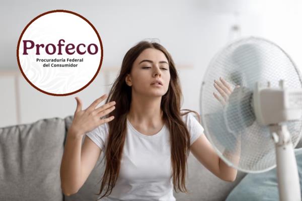 Profeco: Estos son los mejores ventiladores, ideales para el calor de Sinaloa