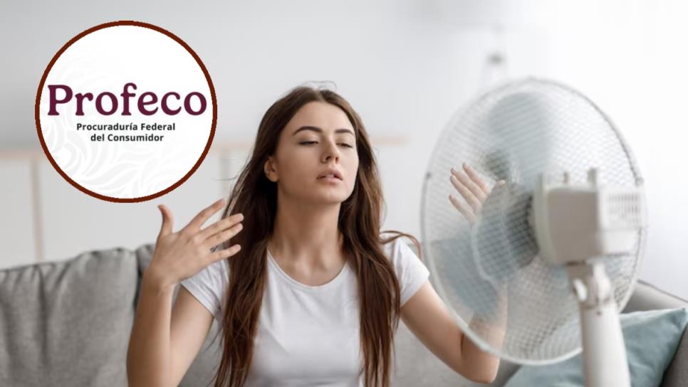 Profeco: Estos son los mejores ventiladores, ideales para el calor de Sinaloa