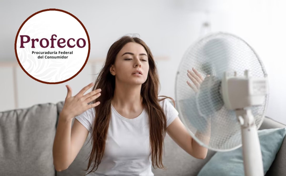 FOTO: Cortesía/FreePik/Profeco.