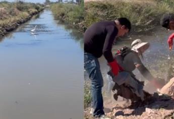 Así lucía el canal que surte de agua a la ciudad de Los Mochis | VIDEO