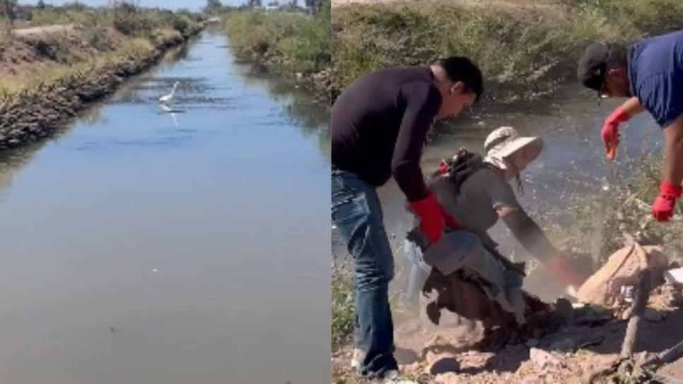 Así lucía el canal que surte de agua a la ciudad de Los Mochis | VIDEO Así lucía el canal que surte de agua a la ciudad de Los Mochis | VIDEO