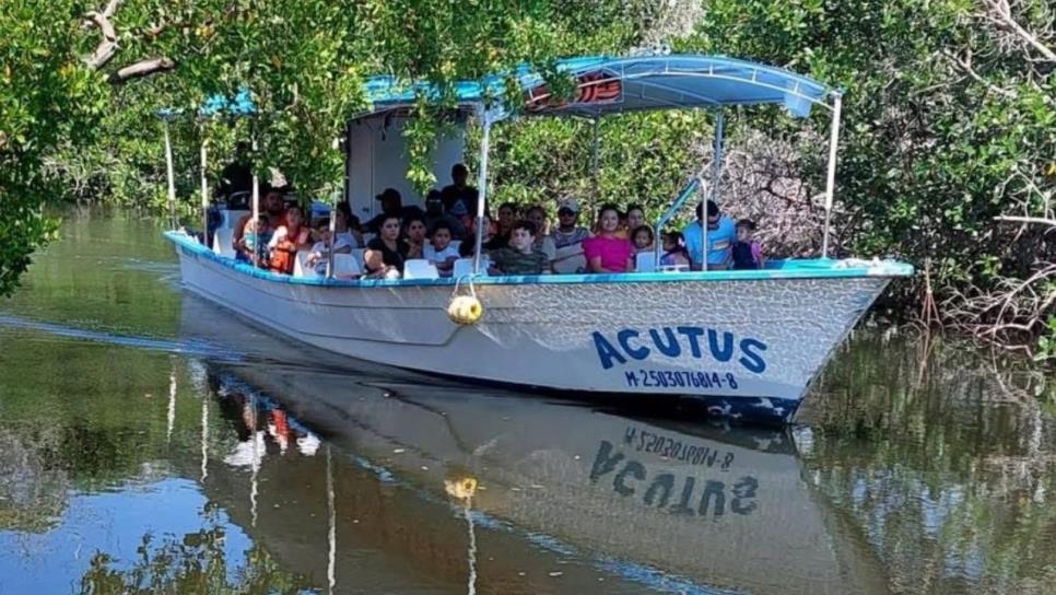 Jungla de manglares en Mazatlán; ¿Cuánto cuesta un tour? Jungla de manglares en Mazatlán; ¿Cuánto cuesta un tour?