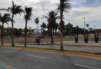Sustituyen palmeras del Paseo Claussen de Mazatlán