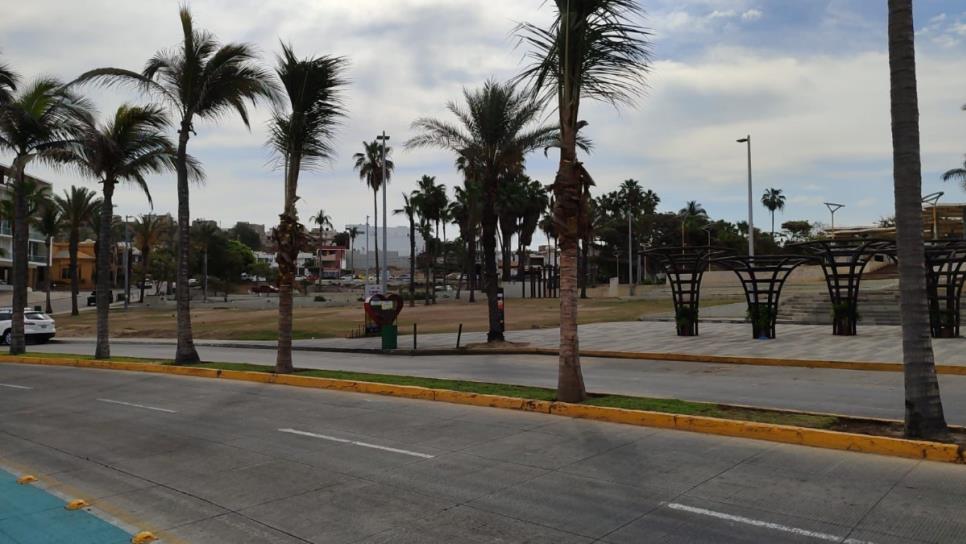 Sustituyen palmeras del Paseo Claussen de Mazatlán Sustituyen palmeras del Paseo Claussen de Mazatlán