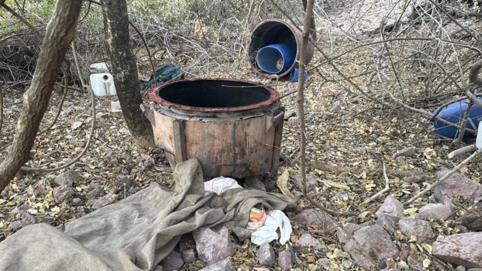Aseguran laboratorio clandestino en el poblado Bacata, en el municipio de Cosalá Aseguran laboratorio clandestino en el poblado Bacata, en el municipio de Cosalá