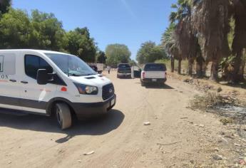 Encuentran a hombre muerto recargado en un árbol en la colonia Malvinas de Los Mochis