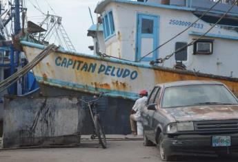 ¿Qué es el “piojillo” en Mazatlán? Los porteños también sufren malas rachas 