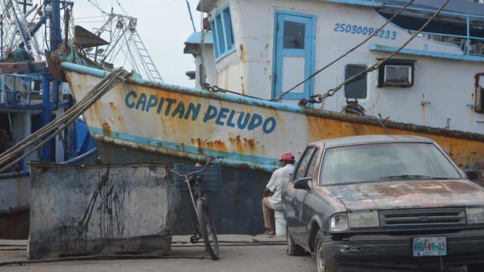 ¿Qué es el "piojillo" en Mazatlán? Los porteños también sufren malas rachas ¿Qué es el "piojillo" en Mazatlán? Los porteños también sufren malas rachas
