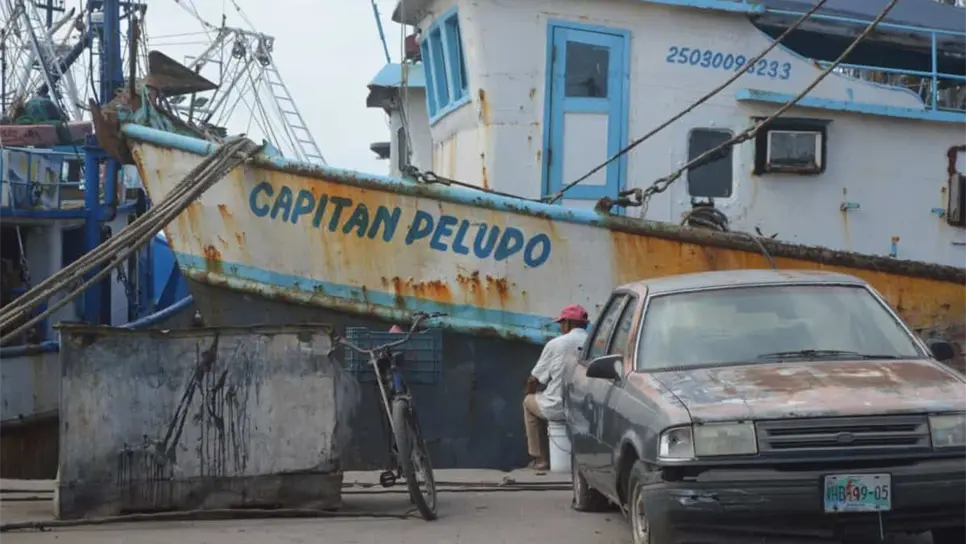 FOTO: ¿Qué es el “piojillo” en Mazatlán? Los porteños también sufren malas rachas