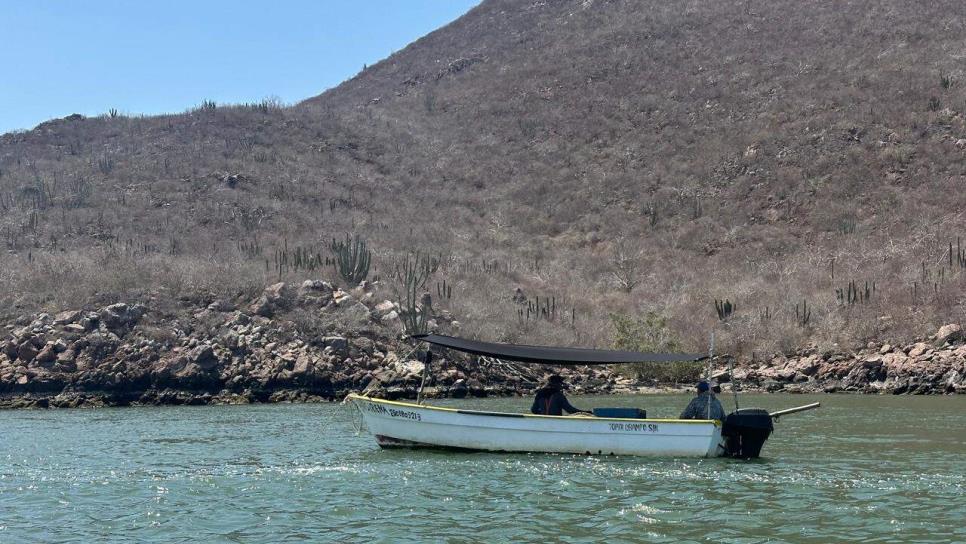 ¿Cómo sobreviven los pescadores durante la veda de camarón, jaiba, tiburón y raya? ¿Cómo sobreviven los pescadores durante la veda de camarón, jaiba, tiburón y raya?