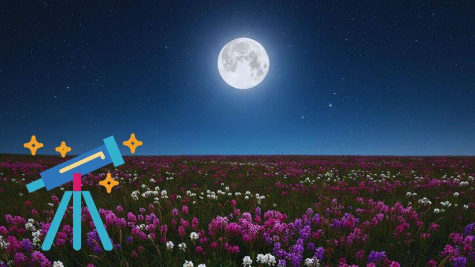 Luna de Flores y Eta Acuáridas en mayo 2025: Estos son los eventos astronómicos del mes Luna de Flores y Eta Acuáridas en mayo 2025: Estos son los eventos astronómicos del mes