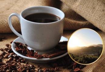 A esta hora del día no es recomendable tomar café, según reconocida chef