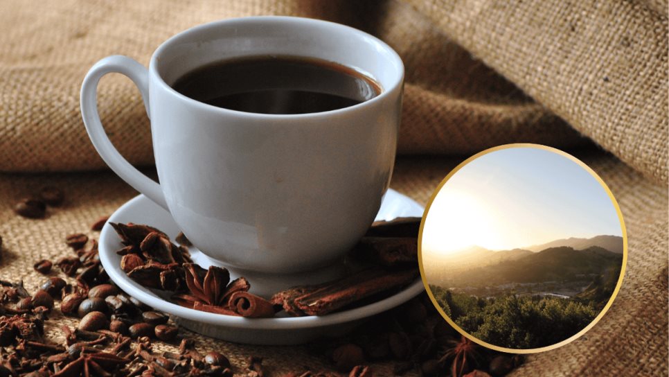 A esta hora del día no es recomendable tomar café, según reconocida chef A esta hora del día no es recomendable tomar café, según reconocida chef