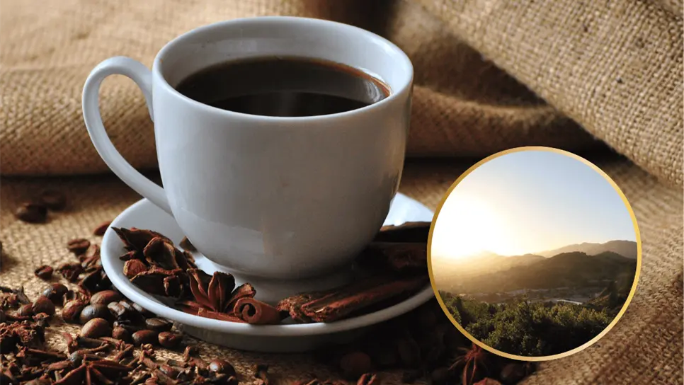 FOTO: ¿Qué tan saludable es tomar café en ayunas?