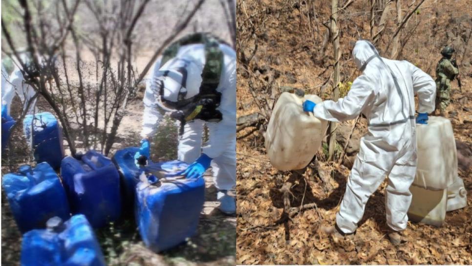 Aseguran cinco áreas de concentración con sustancias químicas en Elota y Culiacán Aseguran cinco áreas de concentración con sustancias químicas en Elota y Culiacán