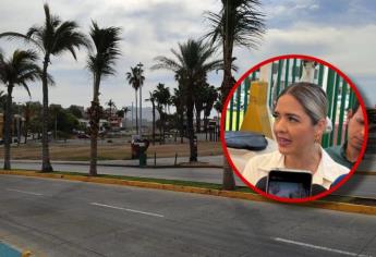 Solo $6 mil pesos costó cada palmera repuesta: Estrella Palacios, alcaldesa de Mazatlán