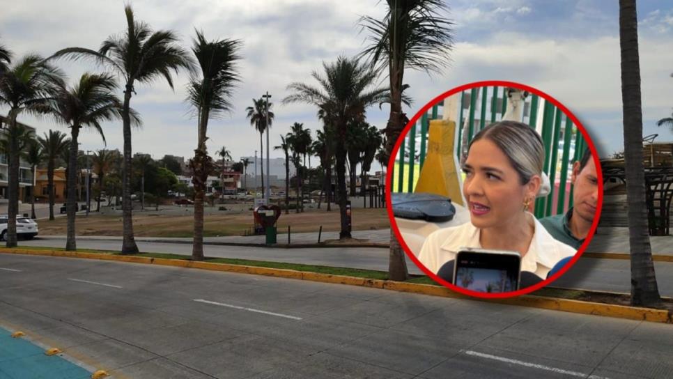Solo $6 mil pesos costó cada palmera repuesta: Estrella Palacios, alcaldesa de Mazatlán Solo $6 mil pesos costó cada palmera repuesta: Estrella Palacios, alcaldesa de Mazatlán