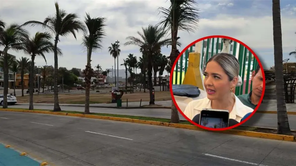 Solo $6 mil pesos costó cada palmera repuesta: Estrella Palacios, alcaldesa de Mazatlán