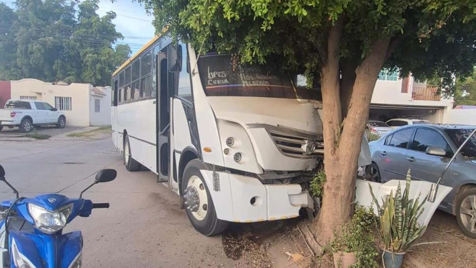 Muere conductor de camión urbano tras sufrir un infarto en Guasave Muere conductor de camión urbano tras sufrir un infarto en Guasave