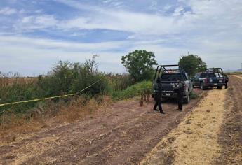 Localizan a un hombre asesinado entre Navolato y Culiacán