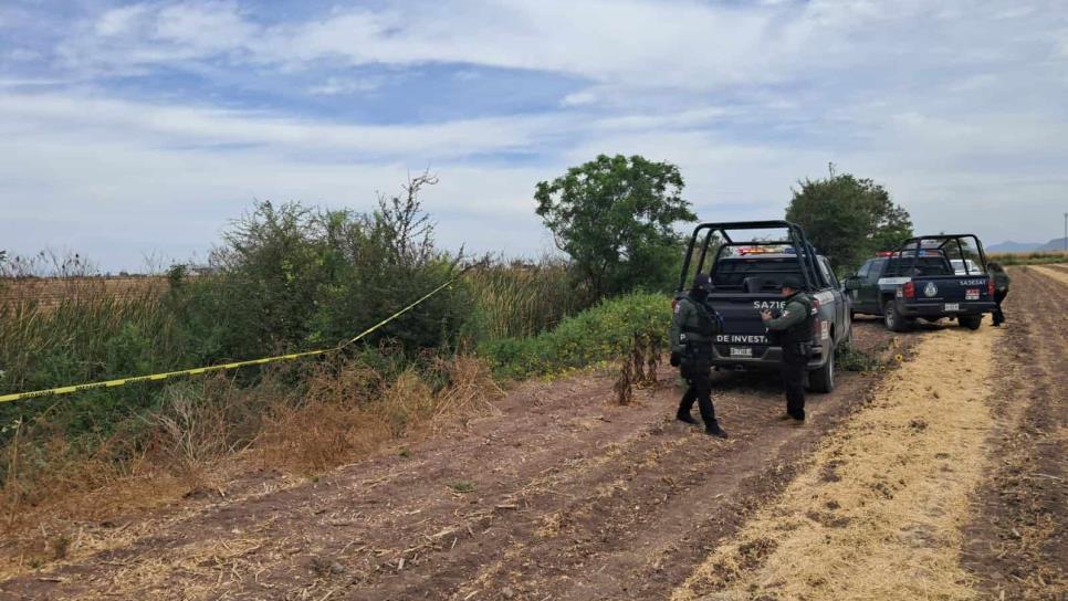 Localizan a un hombre asesinado entre Navolato y Culiacán Localizan a un hombre asesinado entre Navolato y Culiacán