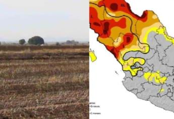 Productores agrícolas esperan lluvias para evitar la sequía en Sinaloa: Marte Vega
