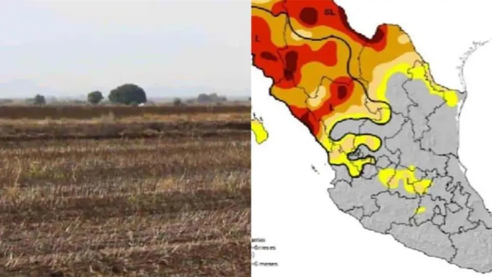 Productores agrícolas esperan lluvias para evitar la sequía en Sinaloa: Marte Vega