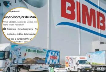 Bimbo lanza vacante para supervisor/a de marketing; aquí los requisitos