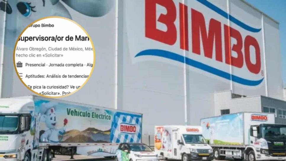 Bimbo lanza vacante para supervisor/a de marketing; aquí los requisitos Bimbo lanza vacante para supervisor/a de marketing; aquí los requisitos