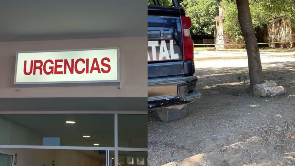 Cinco heridos de bala ingresan a hospitales por balaceras en Guamúchil y Mocorito Cinco heridos de bala ingresan a hospitales por balaceras en Guamúchil y Mocorito