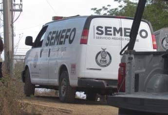 Localizan un cuerpo sin vida y atado de manos en el fraccionamiento San Marcos en Mazatlán