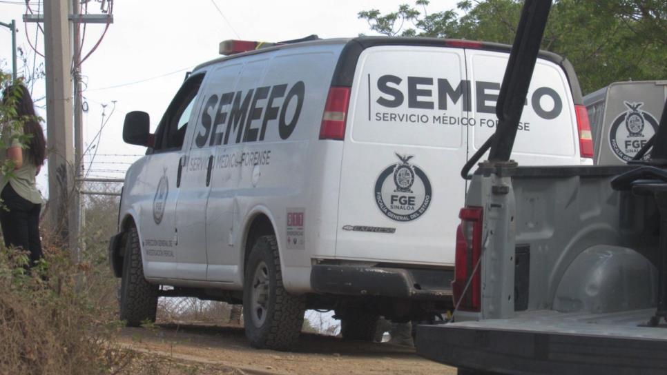 Localizan un cuerpo sin vida y atado de manos en el fraccionamiento San Marcos en Mazatlán Localizan un cuerpo sin vida y atado de manos en el fraccionamiento San Marcos en Mazatlán