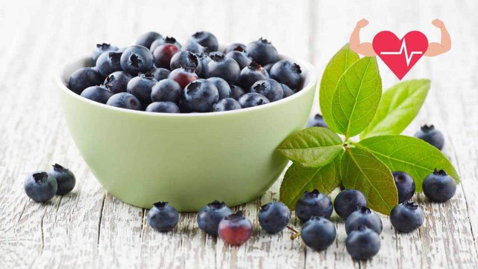¿Qué tan saludables son los arándanos? Esto y más debes incluir en tu dieta ¿Qué tan saludables son los arándanos? Esto y más debes incluir en tu dieta