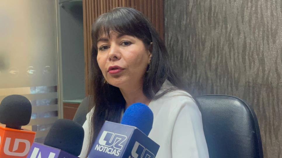 Los Mochis busca conexión aérea con Texas para impulsar el turismo internacional Los Mochis busca conexión aérea con Texas para impulsar el turismo internacional