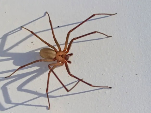 Imagen Placeholder Imagen Placeholder