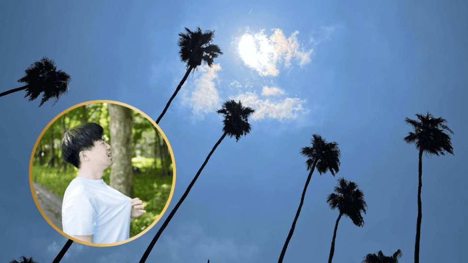 Clima en Los Mochis este jueves, 08 de mayo: Calor y viento Clima en Los Mochis este jueves, 08 de mayo: Calor y viento