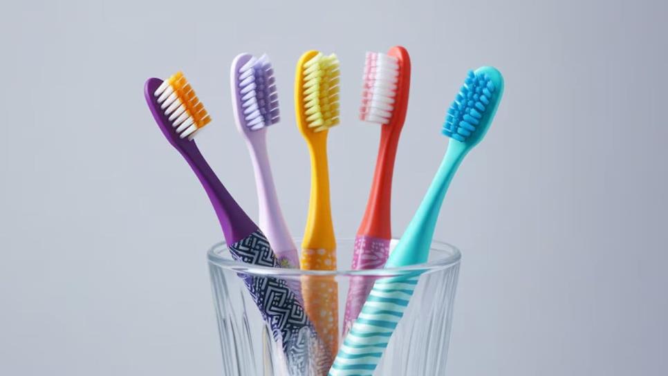 Profeco: Estos son los mejores cepillos de dientes, según estudio de calidad Profeco: Estos son los mejores cepillos de dientes, según estudio de calidad