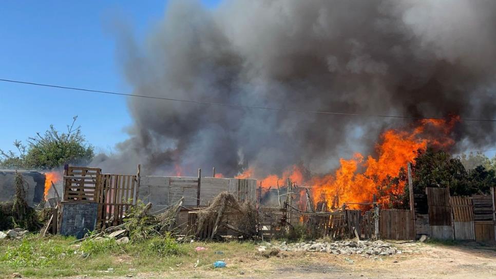 ¡Lo pierden todo! Cinco familias sufren incendio de casas de lámina en colonia de Mazatlán ¡Lo pierden todo! Cinco familias sufren incendio de casas de lámina en colonia de Mazatlán
