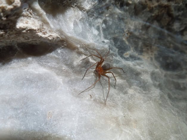 Imagen Placeholder Imagen Placeholder