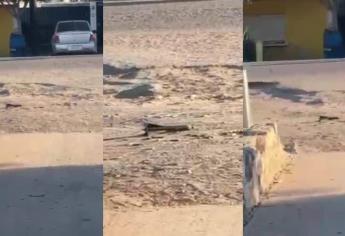 Tras balacera en Villa Juárez, dejan un artefacto explosivo en el Seguro Social de Navolato