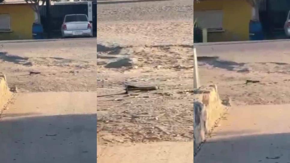 Tras balacera en Villa Juárez, dejan un artefacto explosivo en el Seguro Social de Navolato Tras balacera en Villa Juárez, dejan un artefacto explosivo en el Seguro Social de Navolato